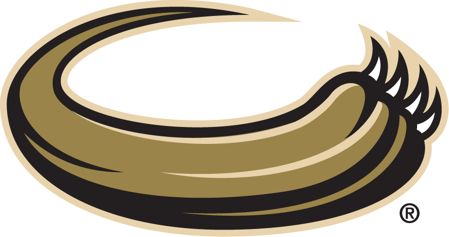 Oakland Golden Grizzlies 1998-2013 Secondary Logo iron on transfers for clothing